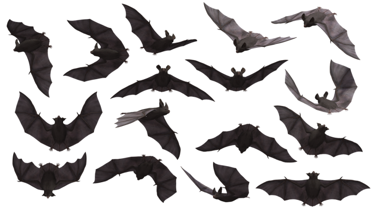 machiaje halloween