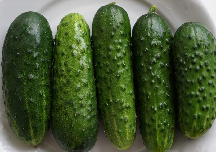 dieta de baza alcalina