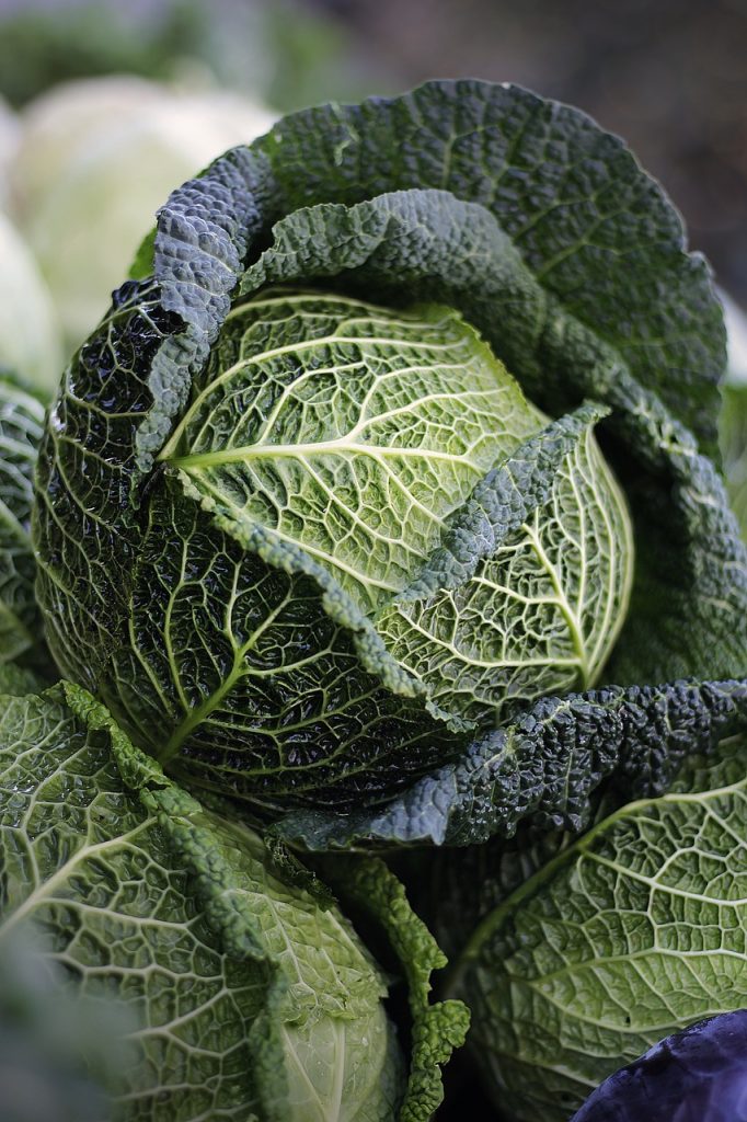 dieta cu zeama de varza