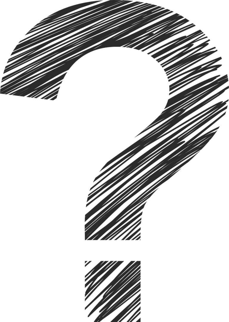 cine este carmen barcan