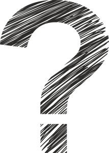 cine este carmen negoita