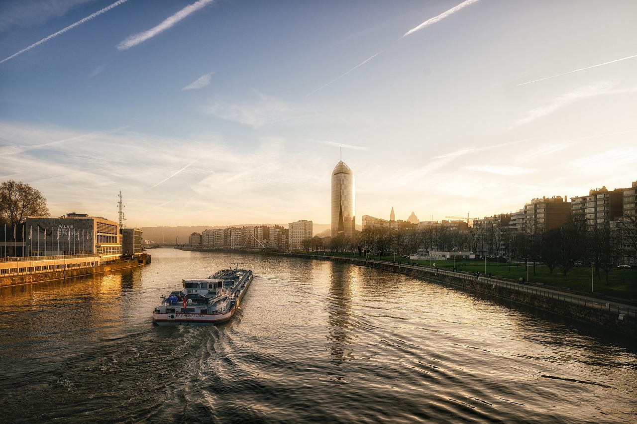 cum se face dulceata de afine