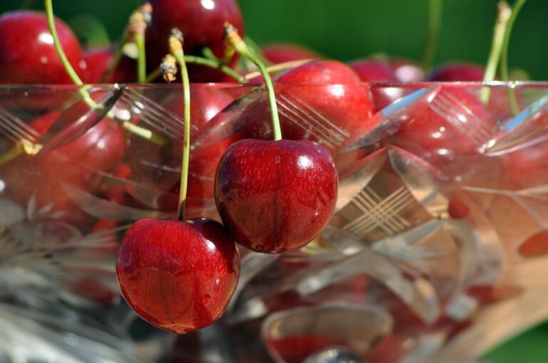 cum se face compotul de cirese