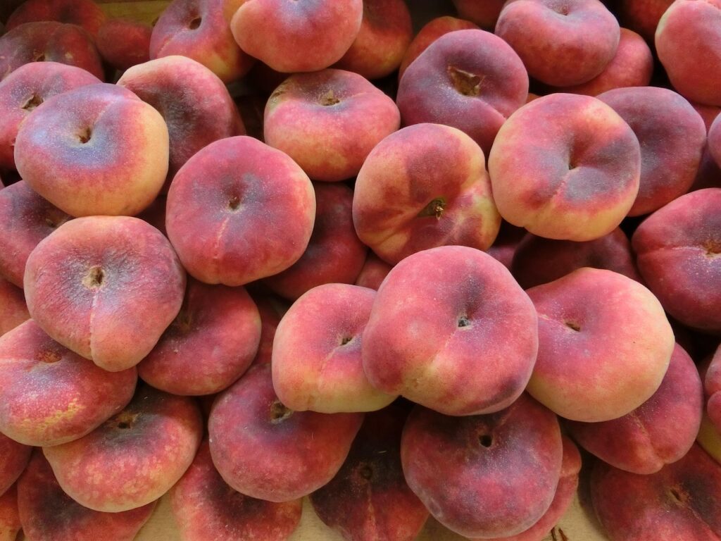 dieta pentru trombofilie